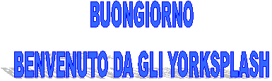 BUONGIORNO
BENVENUTO DA GLI YORKSPLASH