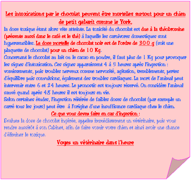 Carr&eacute; corn&eacute;: Les intoxications par le chocolat peuvent &ecirc;tre mortelles surtout pour un chien de petit gabarit comme le York,
la dose toxique &eacute;tant alors vite atteinte. La toxicit&eacute; du chocolat est due &agrave; la th&eacute;obromine (pr&eacute;sente aussi dans le caf&eacute; et le th&eacute;) &agrave; laquelle les carnivores domestiques sont hypersensibles. La dose mortelle de chocolat noir est de l�fordre de 300 g (soit une plaquette de chocolat) pour un chien de 10 Kg.
Concernant le chocolat au lait ou le cacao en poudre, il faut plus de 1 Kg pour provoquer les signes d�fintoxication. Ces signes apparaissent 4 &agrave; 5 heures apr&egrave;s l�fingestion : vomissements, puis troubles nerveux comme nervosit&eacute;, agitation, tremblements, pertes d�f&eacute;quilibre puis convulsions, &eacute;galement des troubles cardiaques. La mort de l�fanimal peut intervenir entre 6 et 24 heures. Le pronostic est toujours r&eacute;serv&eacute;. On consid&egrave;re l�fanimal sauv&eacute; quand apr&egrave;s 48 heures il est toujours en vie.
Selon certaines &eacute;tudes, l�fingestion r&eacute;it&eacute;r&eacute;e de faibles doses de chocolat (par exemple un carr&eacute; tous les jours) peut &ecirc;tre  &agrave; l�forigine d�fune insuffisance cardiaque chez le chien.
Ce que vous devez faire en cas d�fingestion :
Evaluez la dose de chocolat ing&eacute;r&eacute;e, appelez imm&eacute;diatement un v&eacute;t&eacute;rinaire, puis vous rendre aussit&ocirc;t &agrave; son Cabinet, afin de faire vomir votre chien et ainsi avoir une chance d�f&eacute;liminer le toxique. 
Voyez un v&eacute;t&eacute;rinaire dans l�fheure
 

