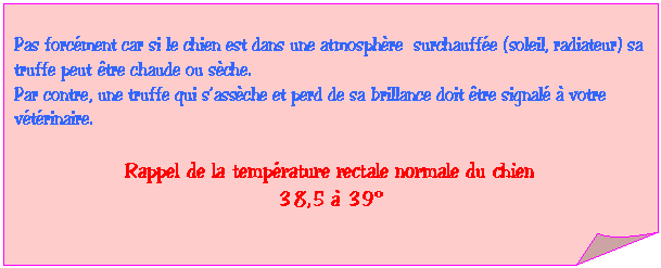 Carr&eacute; corn&eacute;: Pas forc&eacute;ment car si le chien est dans une atmosph&egrave;re  surchauff&eacute;e (soleil, radiateur) sa truffe peut &ecirc;tre chaude ou s&egrave;che. 
Par contre, une truffe qui s�fass&egrave;che et perd de sa brillance doit &ecirc;tre signal&eacute; &agrave; votre v&eacute;t&eacute;rinaire.

Rappel de la temp&eacute;rature rectale normale du chien
38,5 &agrave; 39��
