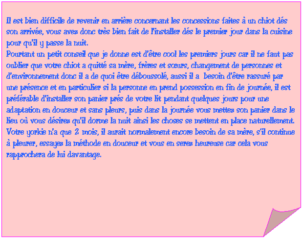 Carr&eacute; corn&eacute;: Il est bien difficile de revenir en arri&egrave;re concernant les concessions faites &agrave; un chiot d&eacute;s son arriv&eacute;e, vous avez donc tr&egrave;s bien fait de l'installer d&eacute;s le premier jour dans la cuisine pour qu'il y passe la nuit. 
Pourtant un petit conseil que je donne est d'&ecirc;tre cool les premiers jours car il ne faut pas oublier que votre chiot a quitt&eacute; sa m&egrave;re, fr&egrave;res et sœurs, changement de personnes et d'environnement donc il a de quoi &ecirc;tre d&eacute;boussol&eacute;, aussi il a  besoin d'&ecirc;tre rassur&eacute; par une pr&eacute;sence et en particulier si la personne en prend possession en fin de journ&eacute;e, il est pr&eacute;f&eacute;rable d'installer son panier pr&eacute;s de votre lit pendant quelques jours pour une adaptation en douceur et sans pleurs, puis dans la journ&eacute;e vous mettez son panier dans le lieu o&ugrave; vous d&eacute;sirez qu'il dorme la nuit ainsi les choses se mettent en place naturellement.
Votre yorkie n'a que 2 mois, il aurait normalement encore besoin de sa m&egrave;re, s�fil continue &agrave; pleurer, essayez la m&eacute;thode en douceur et vous en serez heureuse car cela vous rapprochera de lui davantage.

