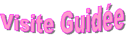 Visite Guid�e
