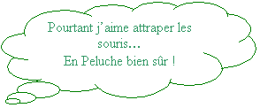Pens�es: Pourtant j�aime attraper les souris�
En Peluche bien s�r !
