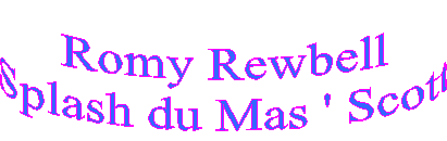 Romy Rewbell
Splash du Mas ' Scott
