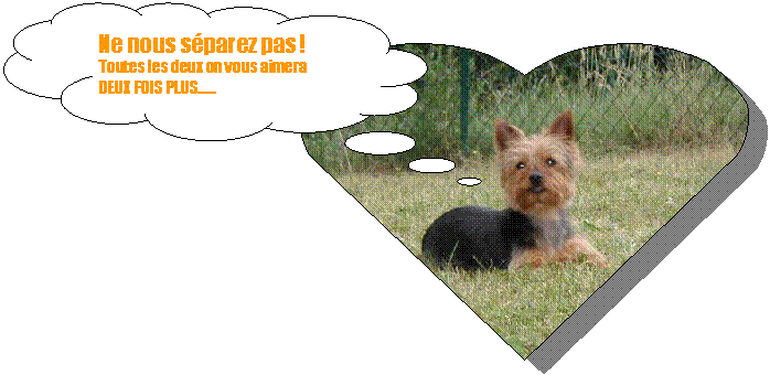 Pens&eacute;es: Ne nous s&eacute;parez pas !
Toutes les deux on vous aimera
DEUX FOIS PLUS�c�c
