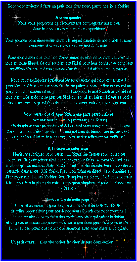 Zone de Texte: Nous vous invitons � faire un petit tour chez nous, parmi nos jolis Yorkies

A votre gauche,
 Nous vous proposons de d�couvrir nos compagnons aussi bien
 dans leur vie au quotidien qu�en expositions

Vous pourrez vous �merveiller devant le regard candide de nos chiots et nous contacter si vous craquez devant tant de beaut�.

Vous constaterez que tous nos Yorks jeunes et plus vieux vivent aupr�s de nous en toute libert�. Ce qui est bien sur l�id�al pour leur bonheur et donc leur �quilibre. C�est ce qui vous assure d�avoir un chiot affectueux et joyeux

Nous vous expliquons �galement les motivations qui nous ont amen� � poss�der un Affixe qui est notre Mascotte puisque notre affixe est en soi un porte bonheur contenant un jeu de mot Mas�Scott le mot Splash le pr�c�dant nous vient d�Orlando notre premier b�b� qui est n� en faisant �clater sa poche des eaux avec un grand Splash, voil� vous savez tout ou � peu pr�s tout�.

Vous verrez que chaque York a une page personnalis�e
 avec une musique et un personnage de Disney
  afin de mieux vous pr�senter celui-ci et ainsi vous constaterez que chaque York a sa fa�on d��tre car chacun d�eux est bien diff�rent avec un petit truc en plus bien � lui mais tous avec un caract�re tellement merveilleux !

A la droite de cette page,
 Plusieurs rubriques vous parlant du Yorkshire Terrier sous toutes ses coutures. Un petit prince aim� des plus grandes Stars, souvent idol�tr� des petits et grands enfants. Notre SOS Conseils � votre �coute. Peine et bonheur partag�s dans notre  SOS Yorks. Forum ou Tchat en direct, lieus d�amiti�s et d��changes sur l�Ile aux Yorkies. Vos Champions de c�ur,  l� o� vous pourrez faire appara�tre la photo de votre compagnon simplement pour lui donner un � Bravo �

Puis en bas de cette page, 
Un petit amusement pour tous, puisqu�il s�agit de CONCOURS & � 
de jolies pages faites pour nos Navigateurs Splash que nous mettons � l�honneur afin de vous faire d�couvrir leurs sites qui valent le d�tour
et toujours et encore des nouveaut�s parce que nous pensons � vous et c�est au milieu des yorks que nous nous amusons avec vous chers amis splash.

Un petit conseil : allez vite visiter les sites de mes deux �toiles  *  *

