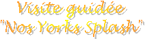 Visite guid�e
"Nos Yorks Splash"