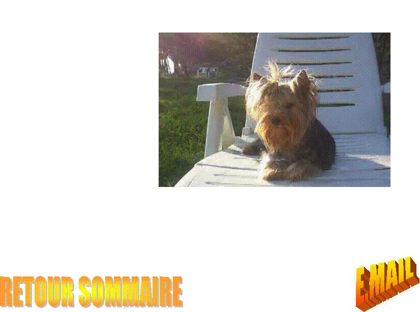 RETOUR SOMMAIRE,E.MAIL
