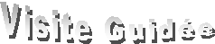 Visite Guid&eacute;e